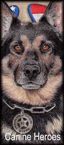 Police K9 Dog Portraits